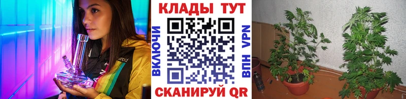Наркошоп купить Каннабис  Мефедрон  A PVP  ГАШИШ  Cocaine  Чита