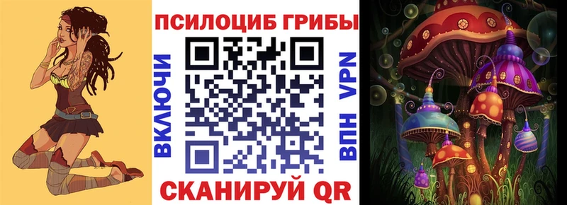 Купить  Чита  Галлюциногенные грибы Magic Shrooms